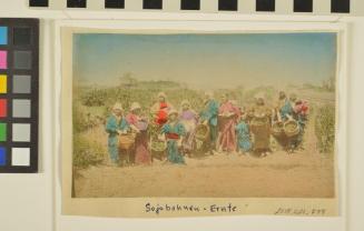 Untitled (group of tea pickers)