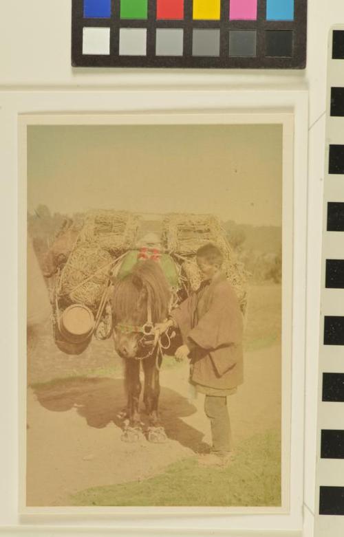 Untitled (man with loaded packhorse)