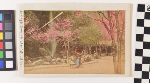 untitled (lad'on road under blossoms)
