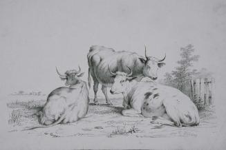Three Cattle in Landscape
