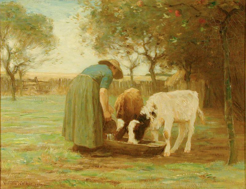 Marie Feeding the Calves