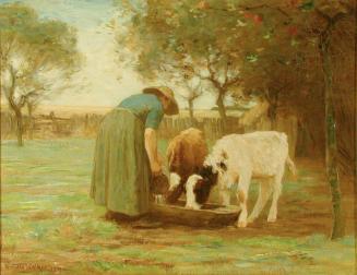 Marie Feeding the Calves
