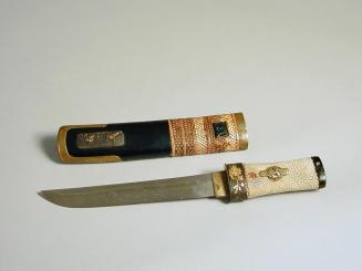 Ray Skin Handled Knife with Case