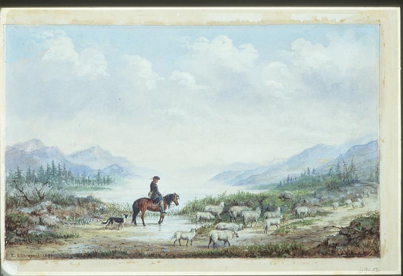 Shepherd in Landscape