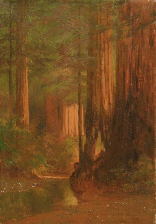 Stream in Redwoods
