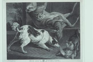 Dog and Still Life (after a painting by Tervase, drawn by Joseph Farington)