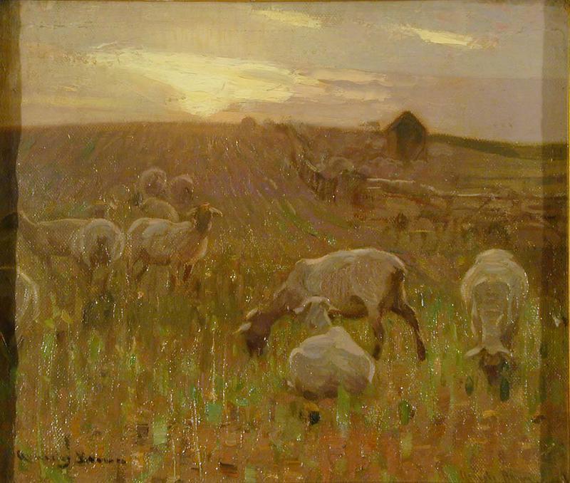 Sheep at Sunset