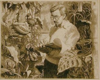 A.C. Riley Drawing Plants in the Hothouse at Kew