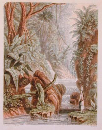 Scene in the West Indies (published by J.M. Kronheim & Co.)