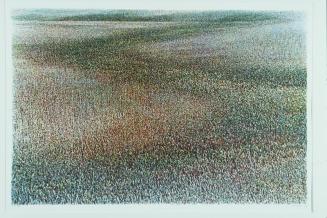 Untitled (Wheat Fields)