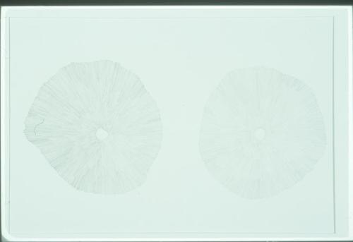 Untitled-abstract circles