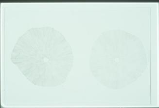 Untitled-abstract circles