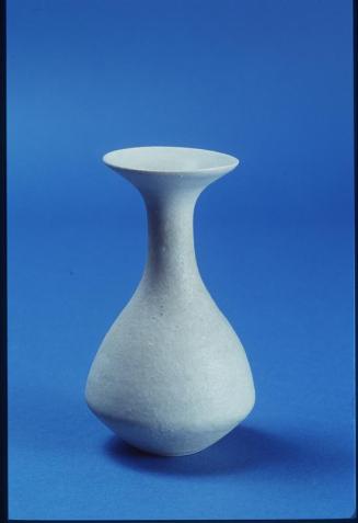 Bottle-vase