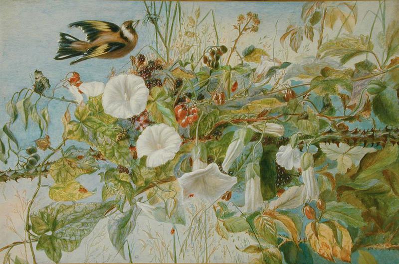 Still Life with Birds, Flowers and Bugs