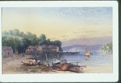 Coastal Scene