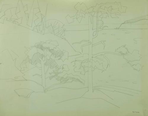 Pender Island (Trees)