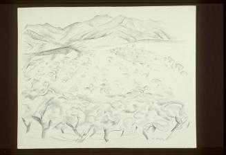 Untitled (Orchard and Hills)