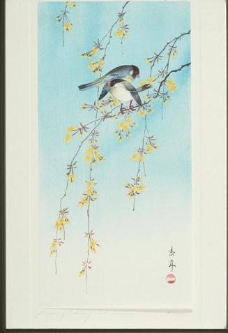 Two Birds on Yellow Blossom Branches