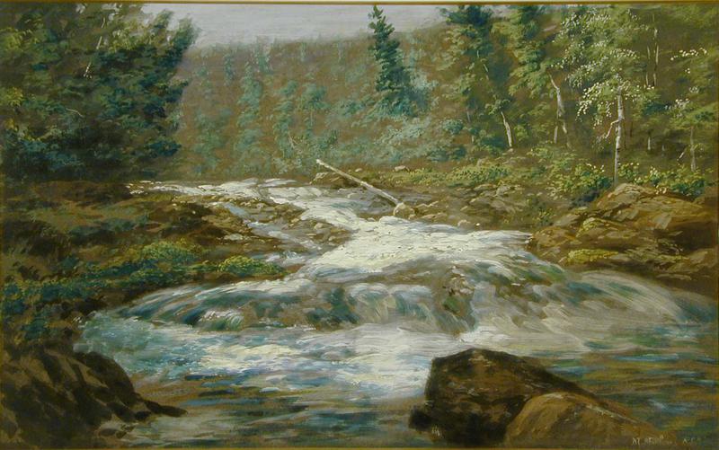 Landscape and rushing water