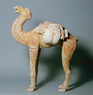 Bactrian Camel -Tomb Figure