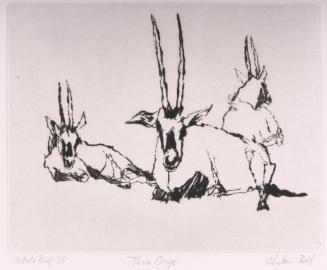 Three Oryx
