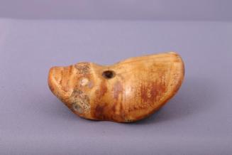 Bone Carving in the shape of a Cicada