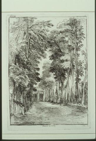 Avenue of Trees (after A. Watteau)